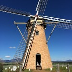 Lily dutch windmill
