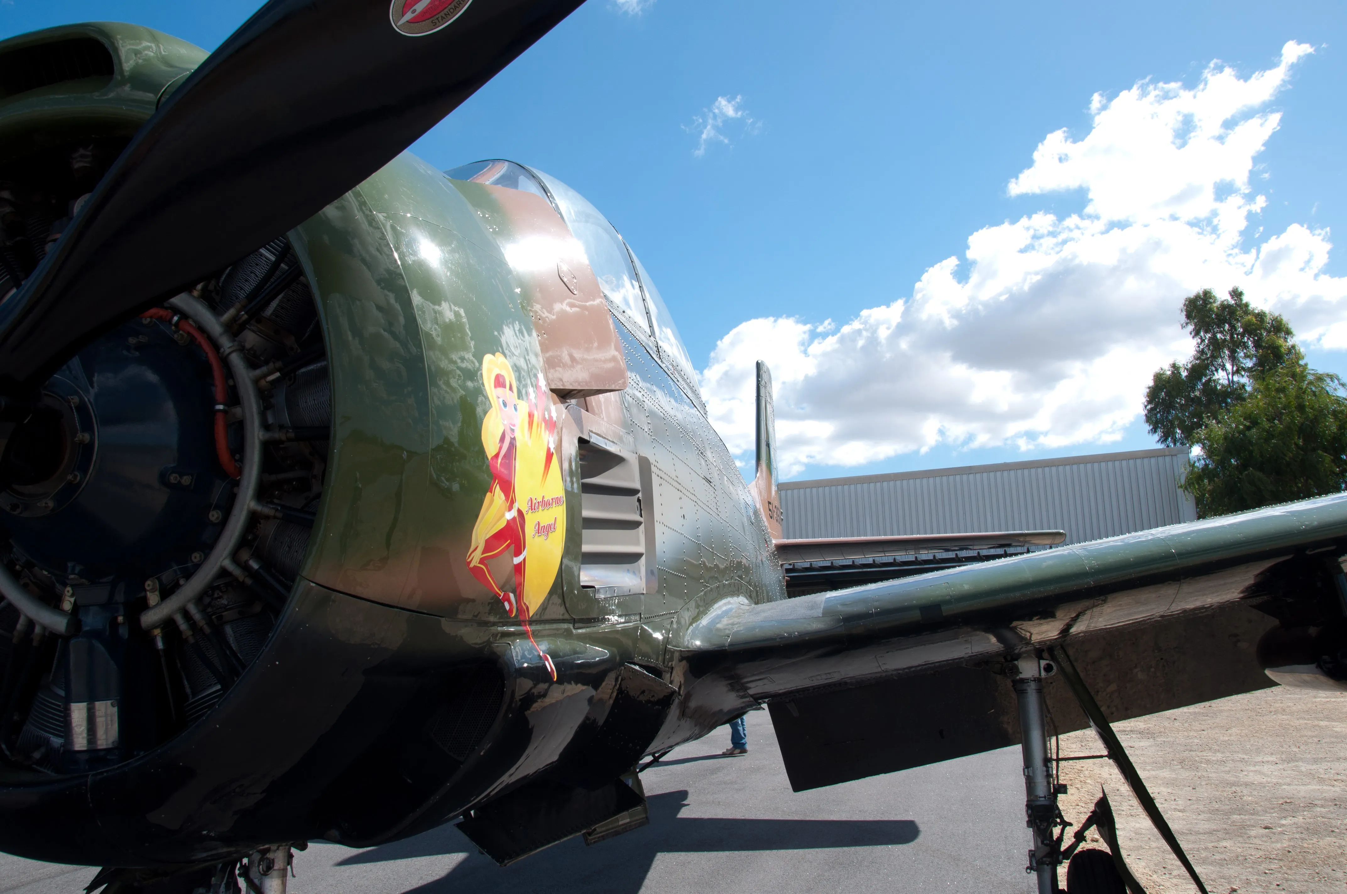 Serpentine SABC SAAA fly in aviation ufc uni flying club jandakot trojan warbird