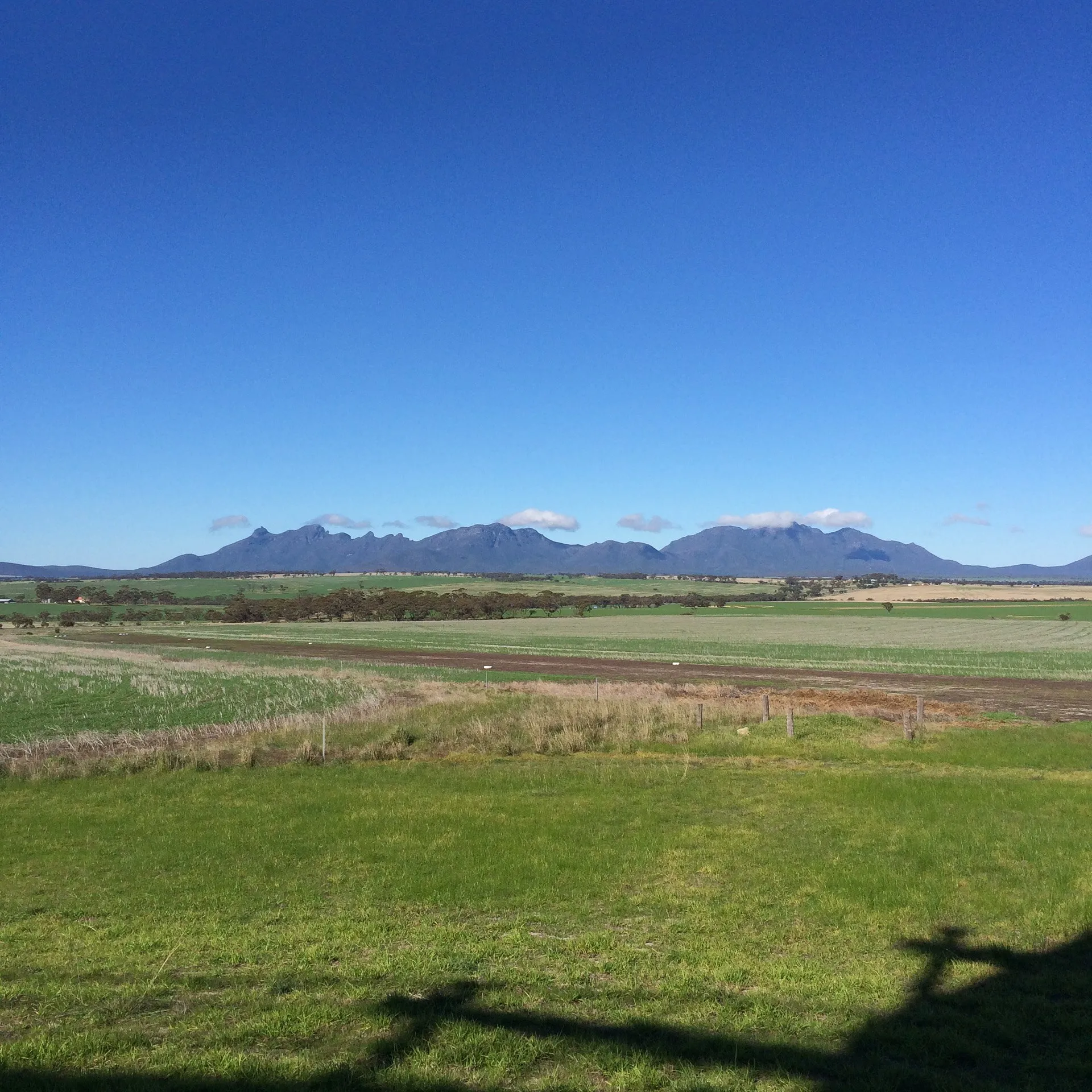 lily dutch windmill and stirling ranges albany