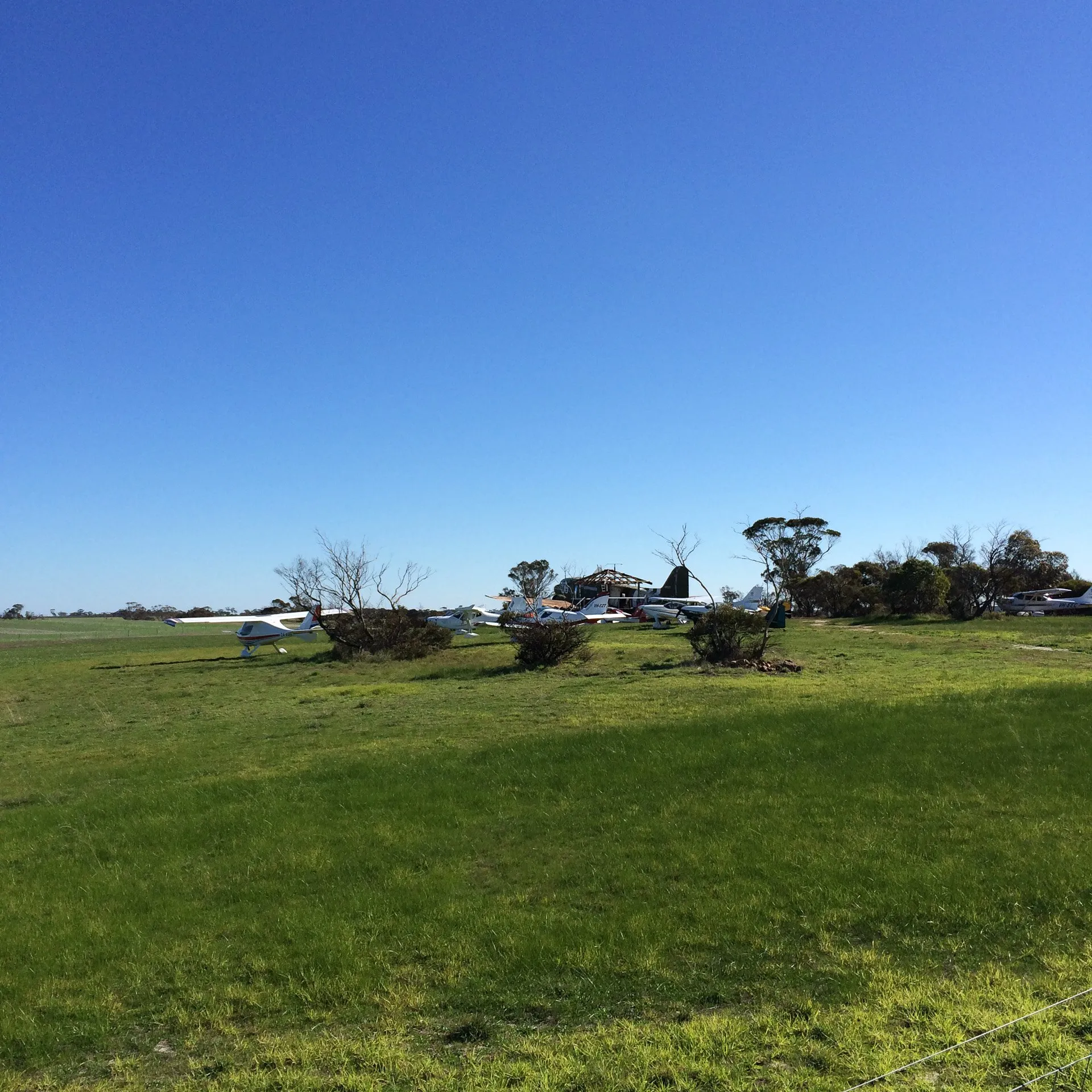 lily dutch windmill and stirling ranges albany