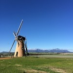 lily dutch windmill and stirling ranges albany